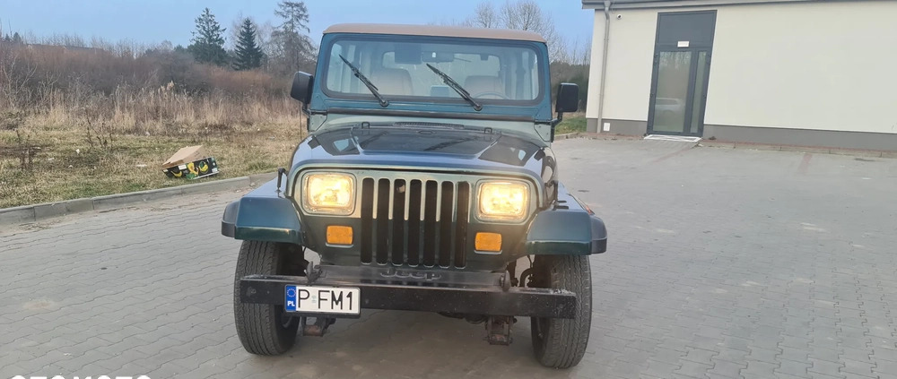 Jeep Wrangler cena 46000 przebieg: 123660, rok produkcji 1994 z Ruda Śląska małe 172